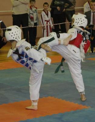 В открытом первенстве Рязанской области по тхэквондо приняли участие спортсмены из трёх регионов России